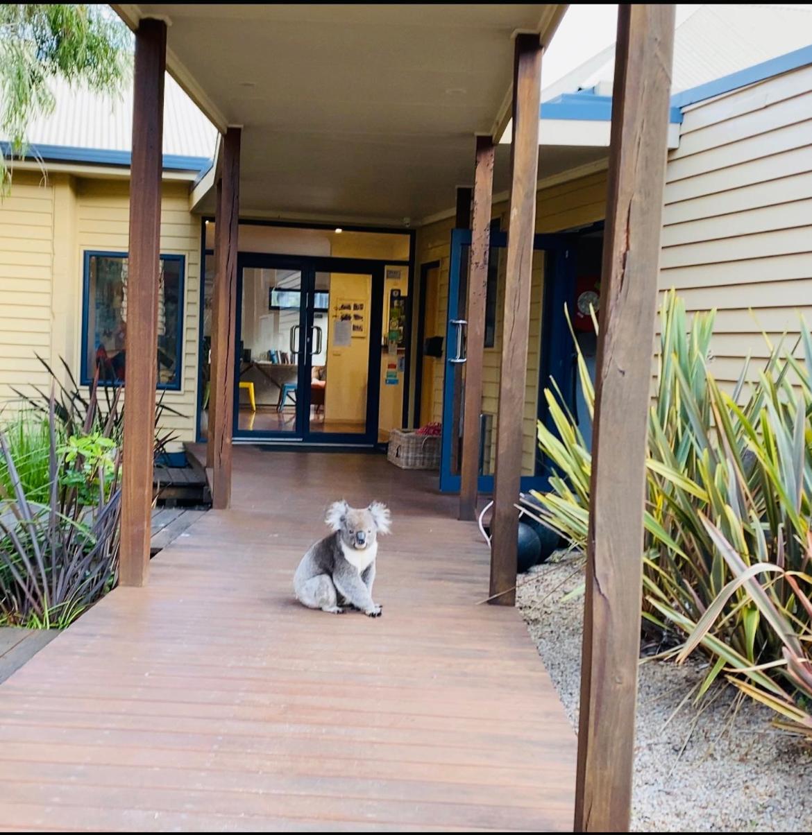 Sandpiper Motel Apollo Bay Eksteriør billede